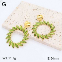 Stainless steel jewelry Earrings wholesale